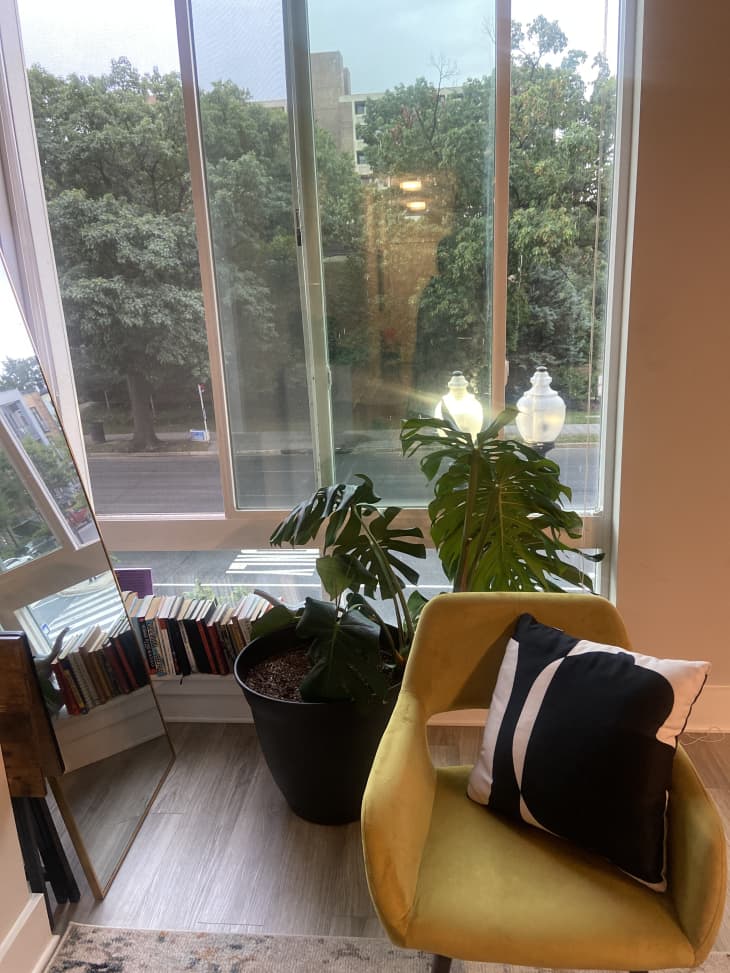 Calming DC Apartment Tour Photos Apartment Therapy